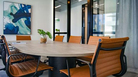 An empty table in an office room surrounded by chairs. A plant sits in a pot atop the table.