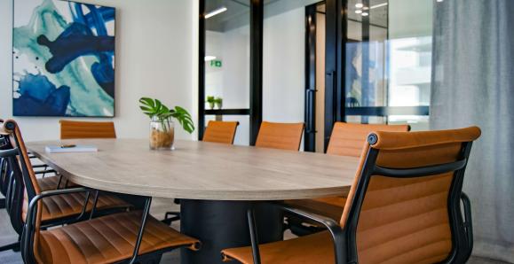 An empty table in an office room surrounded by chairs. A plant sits in a pot atop the table.