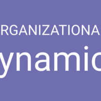 organizational dynamics
