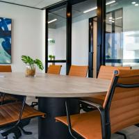 An empty table in an office room surrounded by chairs. A plant sits in a pot atop the table.