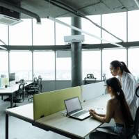 Workers sit at a desk in a brightly lit office with large windows. A person sits and types on a laptop while another looks over their shoulder.