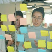 workers looking at different coloured post-it notes on a wall